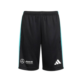 2025 Mercedes AMG Petronas F1 Kids DNA Logo Shorts