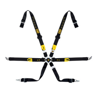 OMP Italy WRC ENDURANCE Pull Down 6 - point Safety Belts