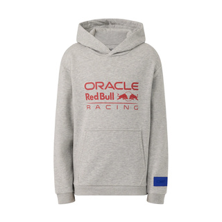 2026 Red Bull Racing F1 Kids Relaxed Hooded Sweatshirt grey