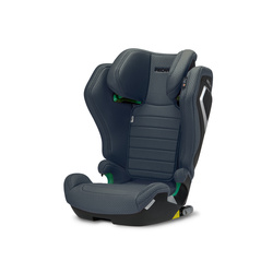 Recaro AXION 1 Gallant Grey Child Seat 