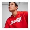 2025 Formula 1 Men's Logo Red Hoodie