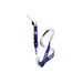 Sparco Italy LOGO Lanyard Blue