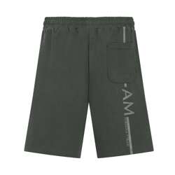 2024 Aston Martin Aramco F1 Men's Shorts