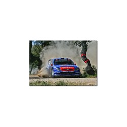 Canvas Picture Sebastien Loeb / Daniel Elena - Citroen Xsara WRC 60 x 40 cm