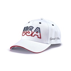 Formula 1 Collection Mens USA Baseball Cap